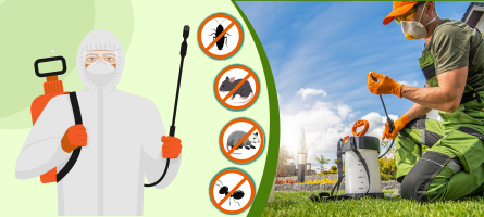 Emergency Pest Control Brunswick